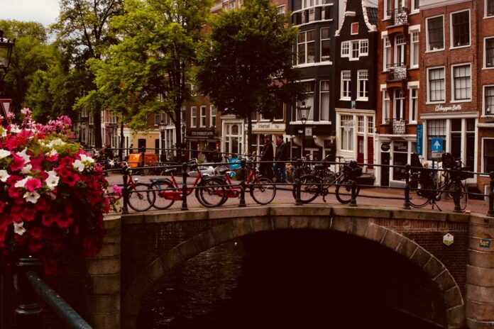 The Netherlands Scholarship japa.ng The Netherlands Scholarship japa.ng