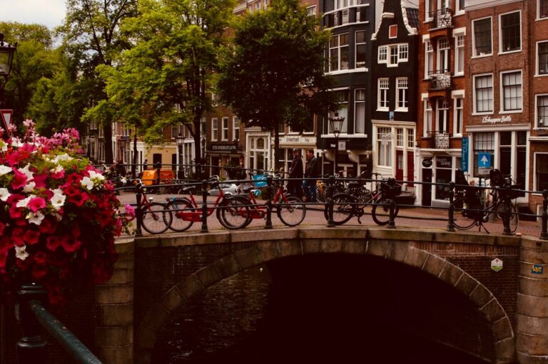 The Netherlands Scholarship japa.ng