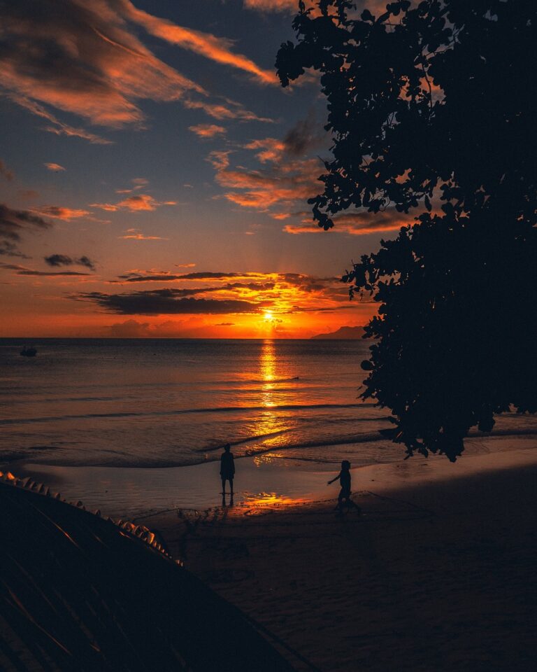 10 of the Best Seychelles Tourist Attractions You Should Check Out On Your Next Visit