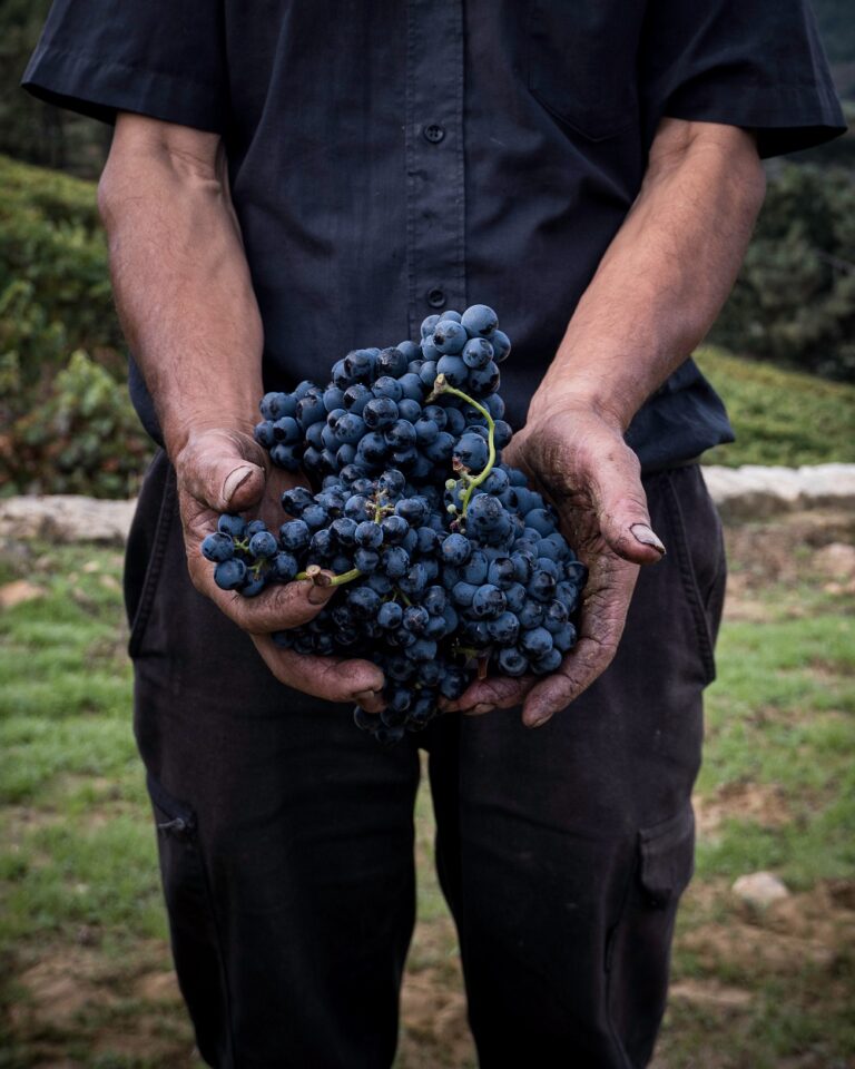 EU Seasonal Worker Permit: 4 Appealing Benefits To Take Advantage Of
