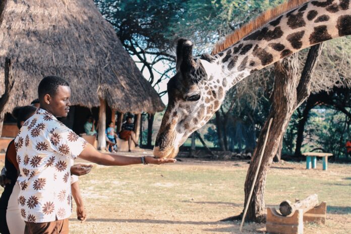 Relocate to Kenya Japa.ng