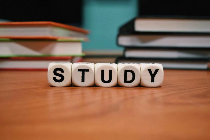 A Guide to Study in Top MBA Colleges in USA Without Work Experience