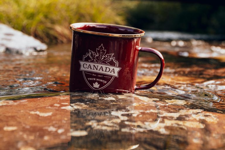 Canada Rolling Out 4 New Pathways to Permanent Residency